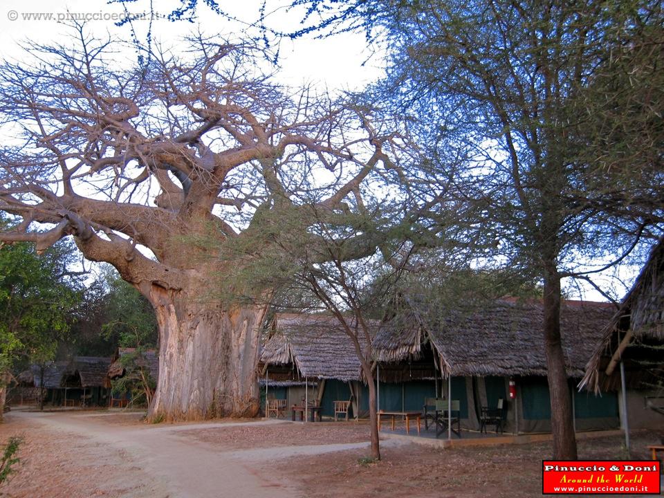 TANZANIA - Tarangire National Park - 45 Tarangire Safari Lodge.jpg